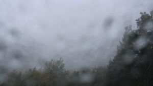 Dieses Bild zeigt eine Webcam-Aufnahme vom Achertal, aufgenommen am Samstag, den 17.10.2026 um 14:50 Uhr. Die Temperatur betrug 8.1°C.