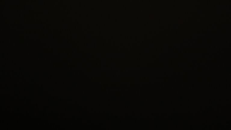 Dieses Bild zeigt eine Webcam-Aufnahme vom Achertal, aufgenommen am Samstag, den 21.02.2026 um 19:30 Uhr. Die Temperatur betrug 4.2°C.