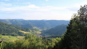 Dieses Bild zeigt eine Webcam-Aufnahme vom Achertal, aufgenommen am Montag, den 15.06.2026 um 19:50 Uhr. Die Temperatur betrug 20.7°C.