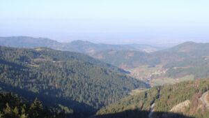 Dieses Bild zeigt eine Webcam-Aufnahme vom Achertal, aufgenommen am Donnerstag, den 05.03.2026 um 08:50 Uhr. Die Temperatur betrug 8.5°C.