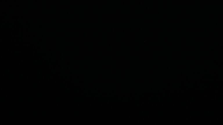 Dieses Bild zeigt eine Webcam-Aufnahme vom Achertal, aufgenommen am Dienstag, den 08.07.2025 um 00:30 Uhr. Die Temperatur betrug 9°C.