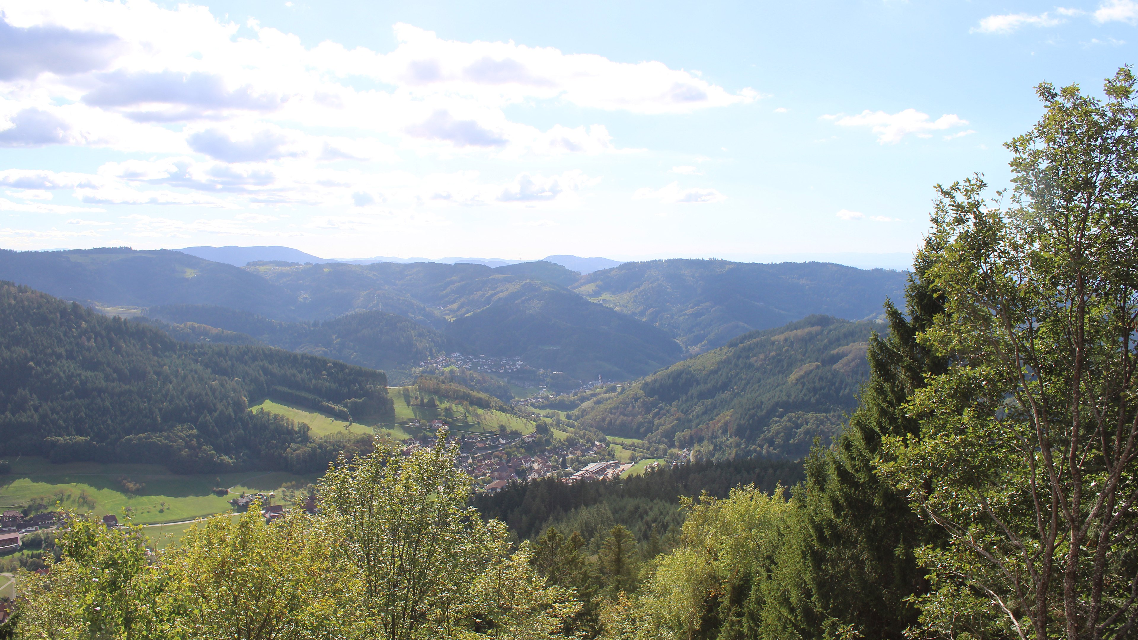Zum Fotoarchiv vom Montag, 12. Oktober 2026