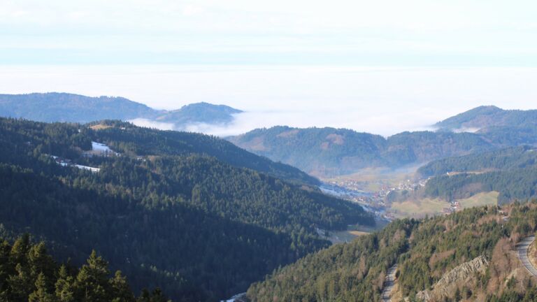 Dieses Bild zeigt eine Webcam-Aufnahme vom Achertal, aufgenommen am Donnerstag, den 22.01.2026 um 11:40 Uhr. Die Temperatur betrug 6.3°C.