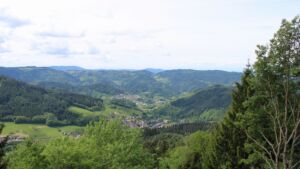 Dieses Bild zeigt eine Webcam-Aufnahme vom Achertal, aufgenommen am Sonntag, den 17.05.2026 um 11:30 Uhr. Die Temperatur betrug 12.6°C.