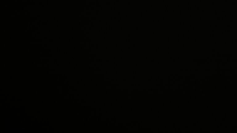 Dieses Bild zeigt eine Webcam-Aufnahme vom Achertal, aufgenommen am Sonntag, den 25.05.2025 um 23:10 Uhr. Die Temperatur betrug 9.1°C.