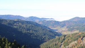 Dieses Bild zeigt eine Webcam-Aufnahme vom Achertal, aufgenommen am Freitag, den 07.11.2025 um 10:00 Uhr. Die Temperatur betrug 10.9°C.