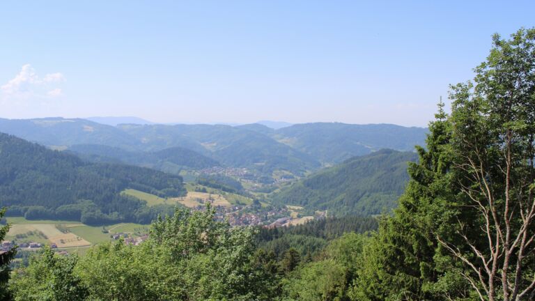 Dieses Bild zeigt eine Webcam-Aufnahme vom Achertal, aufgenommen am Mittwoch, den 27.05.2026 um 12:10 Uhr. Die Temperatur betrug 25.8°C.