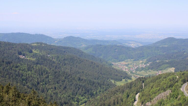 Dieses Bild zeigt eine Webcam-Aufnahme vom Achertal, aufgenommen am Mittwoch, den 14.05.2025 um 11:50 Uhr. Die Temperatur betrug 14°C.