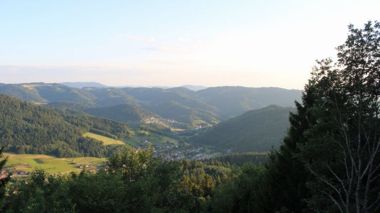 Dieses Bild zeigt eine Webcam-Aufnahme vom Achertal, aufgenommen am Mittwoch, den 08.07.2026 um 20:30 Uhr. Die Temperatur betrug 24°C.