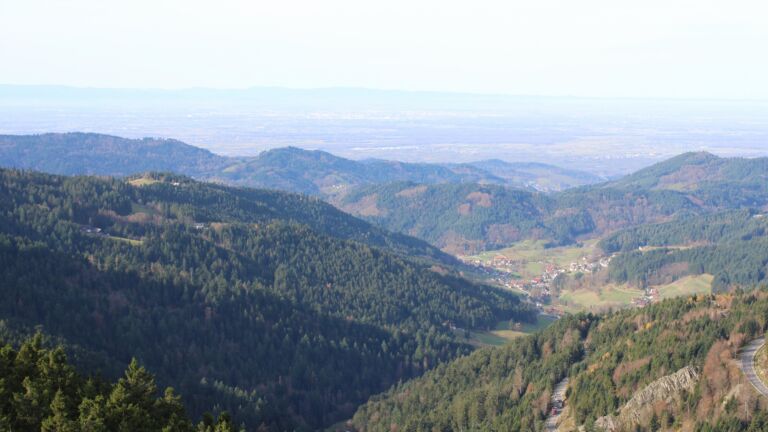 Dieses Bild zeigt eine Webcam-Aufnahme vom Achertal, aufgenommen am Donnerstag, den 13.11.2025 um 11:00 Uhr. Die Temperatur betrug 15.2°C.