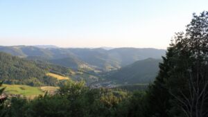Dieses Bild zeigt eine Webcam-Aufnahme vom Achertal, aufgenommen am Mittwoch, den 17.06.2026 um 20:30 Uhr. Die Temperatur betrug 25.4°C.