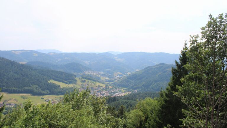 Dieses Bild zeigt eine Webcam-Aufnahme vom Achertal, aufgenommen am Donnerstag, den 16.07.2026 um 16:30 Uhr. Die Temperatur betrug 30.5°C.