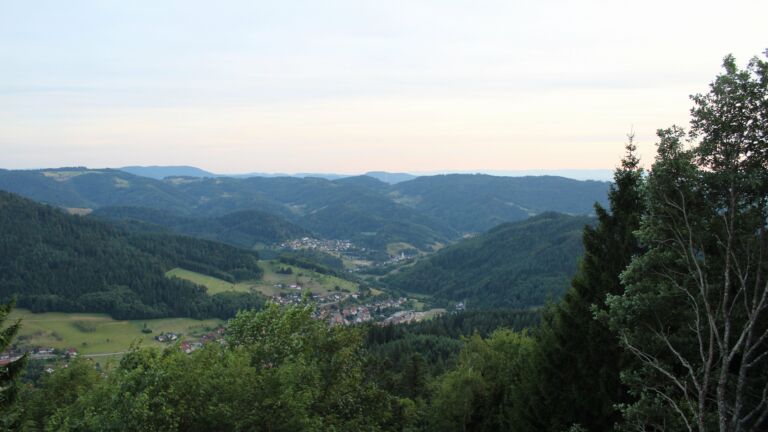 Dieses Bild zeigt eine Webcam-Aufnahme vom Achertal, aufgenommen am Freitag, den 24.07.2026 um 20:50 Uhr. Die Temperatur betrug 21.2°C.