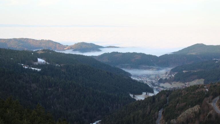 Dieses Bild zeigt eine Webcam-Aufnahme vom Achertal, aufgenommen am Mittwoch, den 21.01.2026 um 08:40 Uhr. Die Temperatur betrug 6.5°C.