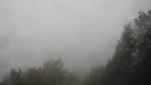 Dieses Bild zeigt eine Webcam-Aufnahme vom Achertal, aufgenommen am Samstag, den 17.10.2026 um 09:00 Uhr. Die Temperatur betrug 11°C.