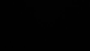 Dieses Bild zeigt eine Webcam-Aufnahme vom Achertal, aufgenommen am Sonntag, den 22.02.2026 um 20:30 Uhr. Die Temperatur betrug 4.8°C.