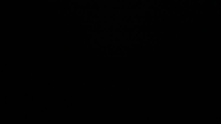 Dieses Bild zeigt eine Webcam-Aufnahme vom Achertal, aufgenommen am Sonntag, den 22.02.2026 um 20:30 Uhr. Die Temperatur betrug 4.8°C.