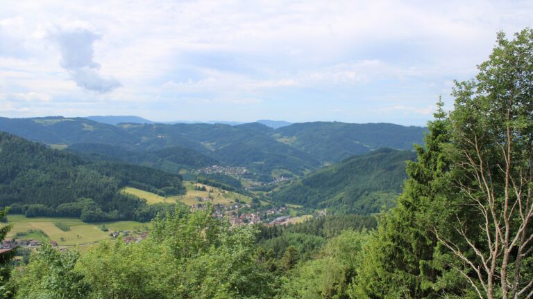 Dieses Bild zeigt eine Webcam-Aufnahme vom Achertal, aufgenommen am Samstag, den 06.06.2026 um 11:30 Uhr. Die Temperatur betrug 18.5°C.