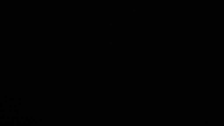 Dieses Bild zeigt eine Webcam-Aufnahme vom Achertal, aufgenommen am Donnerstag, den 21.08.2025 um 04:40 Uhr. Die Temperatur betrug 13°C.