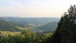 Dieses Bild zeigt eine Webcam-Aufnahme vom Achertal, aufgenommen am Dienstag, den 14.07.2026 um 20:10 Uhr. Die Temperatur betrug 29.1°C.