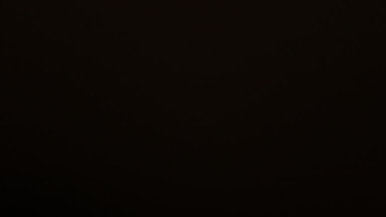 Dieses Bild zeigt eine Webcam-Aufnahme vom Achertal, aufgenommen am Montag, den 24.11.2025 um 20:00 Uhr. Die Temperatur betrug 0.6°C.