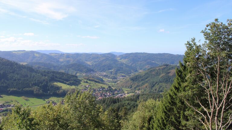 Dieses Bild zeigt eine Webcam-Aufnahme vom Achertal, aufgenommen am Samstag, den 19.09.2026 um 11:50 Uhr. Die Temperatur betrug 19°C.