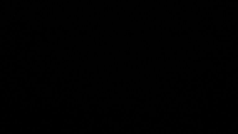 Dieses Bild zeigt eine Webcam-Aufnahme vom Achertal, aufgenommen am Mittwoch, den 11.03.2026 um 23:00 Uhr. Die Temperatur betrug 3.4°C.