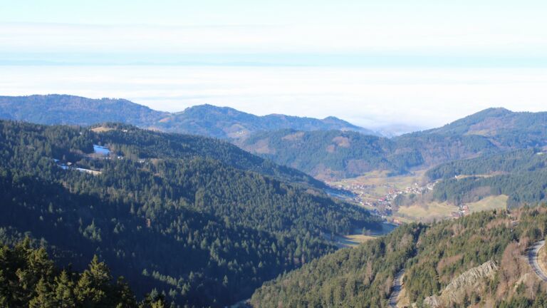 Dieses Bild zeigt eine Webcam-Aufnahme vom Achertal, aufgenommen am Donnerstag, den 05.02.2026 um 11:10 Uhr. Die Temperatur betrug 7°C.