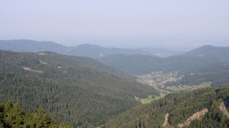 Dieses Bild zeigt eine Webcam-Aufnahme vom Achertal, aufgenommen am Freitag, den 15.08.2025 um 08:50 Uhr. Die Temperatur betrug 25.8°C.