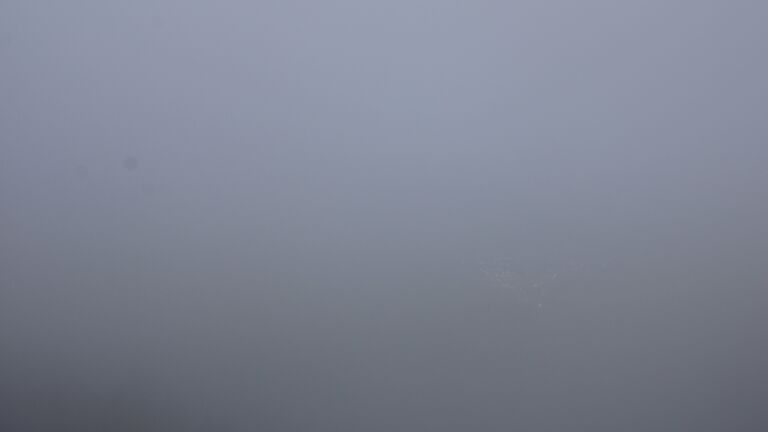 Dieses Bild zeigt eine Webcam-Aufnahme vom Achertal, aufgenommen am Mittwoch, den 09.07.2025 um 07:50 Uhr. Die Temperatur betrug 8.9°C.