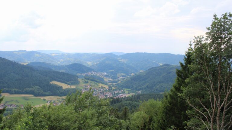 Dieses Bild zeigt eine Webcam-Aufnahme vom Achertal, aufgenommen am Dienstag, den 30.06.2026 um 16:00 Uhr. Die Temperatur betrug 31.2°C.