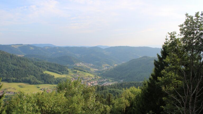 Dieses Bild zeigt eine Webcam-Aufnahme vom Achertal, aufgenommen am Mittwoch, den 22.07.2026 um 19:30 Uhr. Die Temperatur betrug 23.8°C.