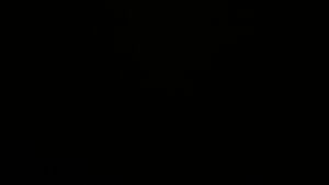 Dieses Bild zeigt eine Webcam-Aufnahme vom Achertal, aufgenommen am Donnerstag, den 12.02.2026 um 03:00 Uhr. Die Temperatur betrug 3.5°C.