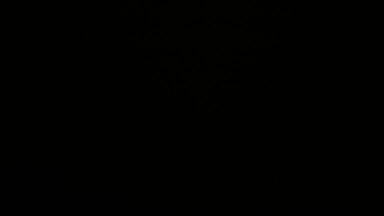 Dieses Bild zeigt eine Webcam-Aufnahme vom Achertal, aufgenommen am Donnerstag, den 12.02.2026 um 03:00 Uhr. Die Temperatur betrug 3.5°C.