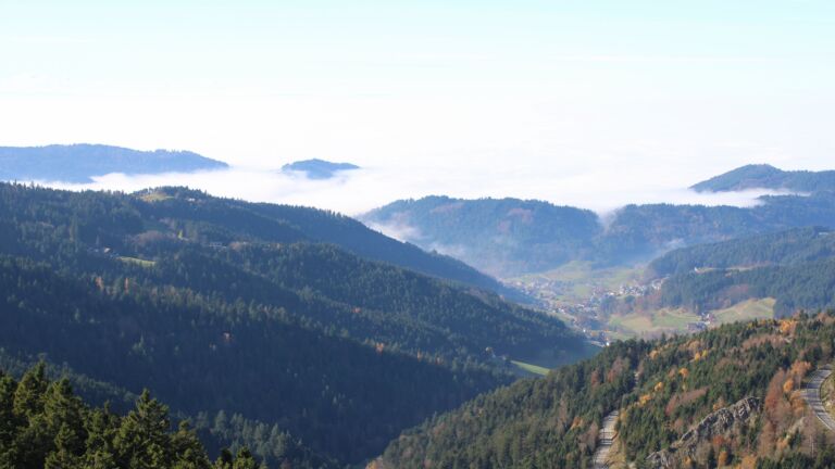 Dieses Bild zeigt eine Webcam-Aufnahme vom Achertal, aufgenommen am Samstag, den 08.11.2025 um 13:10 Uhr. Die Temperatur betrug 11.8°C.