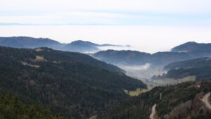 Dieses Bild zeigt eine Webcam-Aufnahme vom Achertal, aufgenommen am Dienstag, den 16.12.2025 um 12:50 Uhr. Die Temperatur betrug 11.5°C.