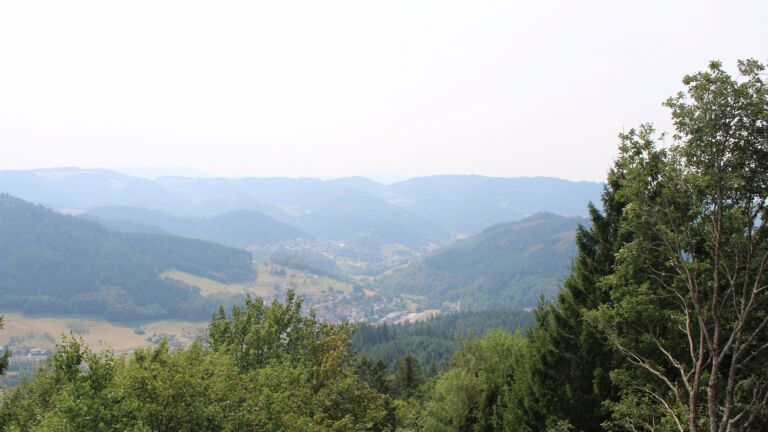 Dieses Bild zeigt eine Webcam-Aufnahme vom Achertal, aufgenommen am Sonntag, den 16.08.2026 um 13:50 Uhr. Die Temperatur betrug 31.2°C.