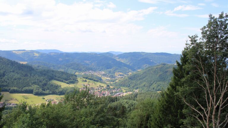 Dieses Bild zeigt eine Webcam-Aufnahme vom Achertal, aufgenommen am Freitag, den 17.07.2026 um 12:10 Uhr. Die Temperatur betrug 23.2°C.