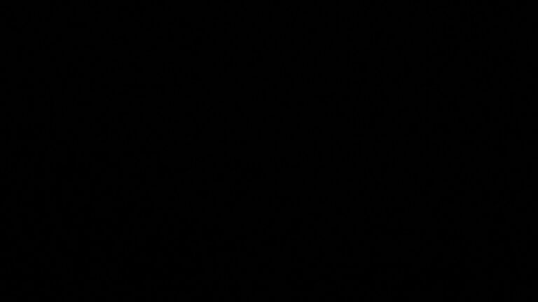 Dieses Bild zeigt eine Webcam-Aufnahme vom Achertal, aufgenommen am Montag, den 11.05.2026 um 03:40 Uhr. Die Temperatur betrug 8.9°C.