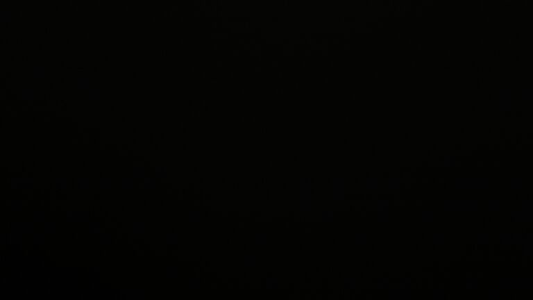 Dieses Bild zeigt eine Webcam-Aufnahme vom Achertal, aufgenommen am Montag, den 16.06.2025 um 02:30 Uhr. Die Temperatur betrug 9.9°C.