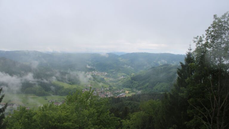 Dieses Bild zeigt eine Webcam-Aufnahme vom Achertal, aufgenommen am Freitag, den 15.05.2026 um 07:50 Uhr. Die Temperatur betrug 3.1°C.