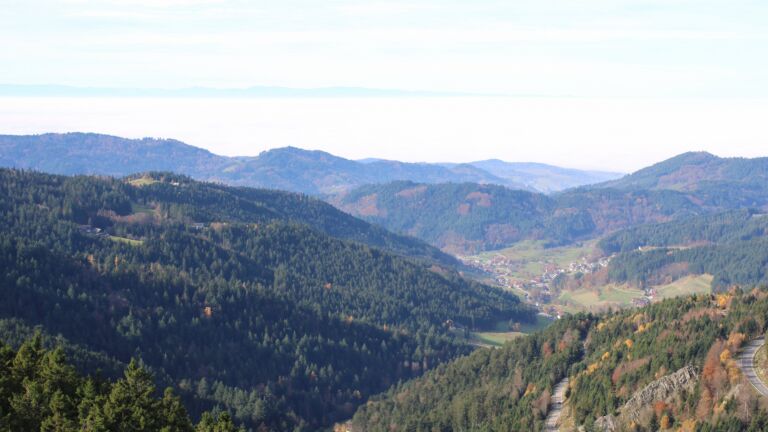 Dieses Bild zeigt eine Webcam-Aufnahme vom Achertal, aufgenommen am Donnerstag, den 06.11.2025 um 11:40 Uhr. Die Temperatur betrug 12.5°C.