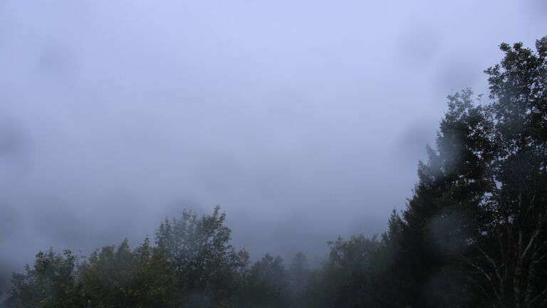 Dieses Bild zeigt eine Webcam-Aufnahme vom Achertal, aufgenommen am Mittwoch, den 14.10.2026 um 08:50 Uhr. Die Temperatur betrug 11°C.