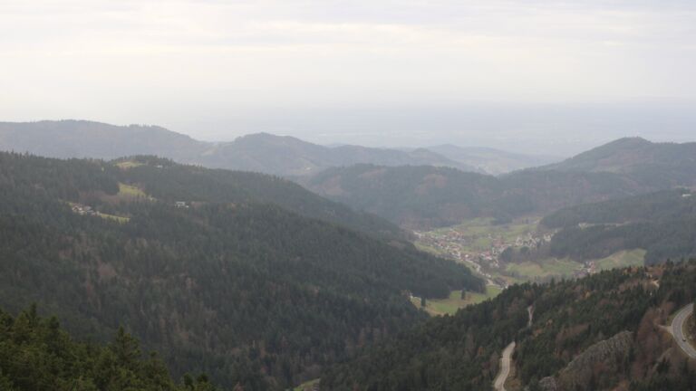 Dieses Bild zeigt eine Webcam-Aufnahme vom Achertal, aufgenommen am Samstag, den 15.11.2025 um 14:20 Uhr. Die Temperatur betrug 11°C.