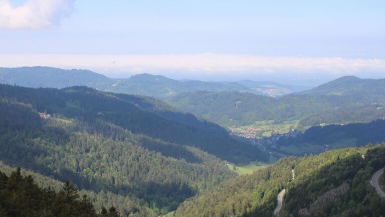 Dieses Bild zeigt eine Webcam-Aufnahme vom Achertal, aufgenommen am Freitag, den 08.05.2026 um 10:30 Uhr. Die Temperatur betrug 11.4°C.