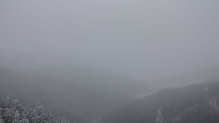 Dieses Bild zeigt eine Webcam-Aufnahme vom Achertal, aufgenommen am Mittwoch, den 24.12.2025 um 12:50 Uhr. Die Temperatur betrug -5.4°C.