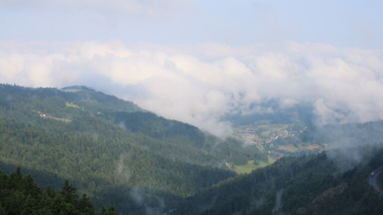 Dieses Bild zeigt eine Webcam-Aufnahme vom Achertal, aufgenommen am Montag, den 16.06.2025 um 08:20 Uhr. Die Temperatur betrug 10.9°C.