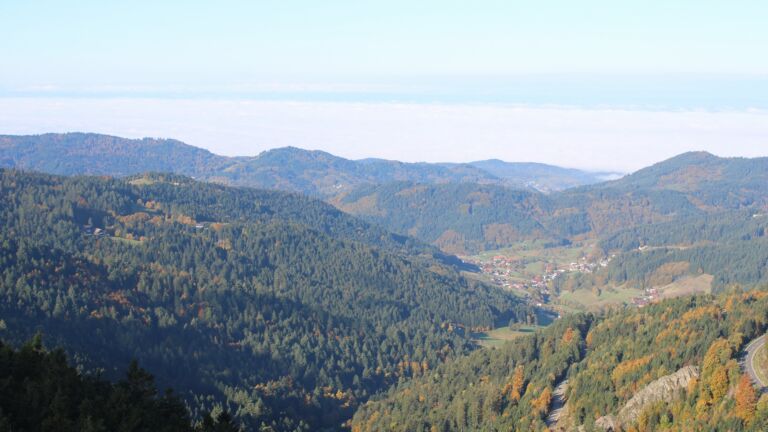 Dieses Bild zeigt eine Webcam-Aufnahme vom Achertal, aufgenommen am Donnerstag, den 16.10.2025 um 10:20 Uhr. Die Temperatur betrug 7.2°C.