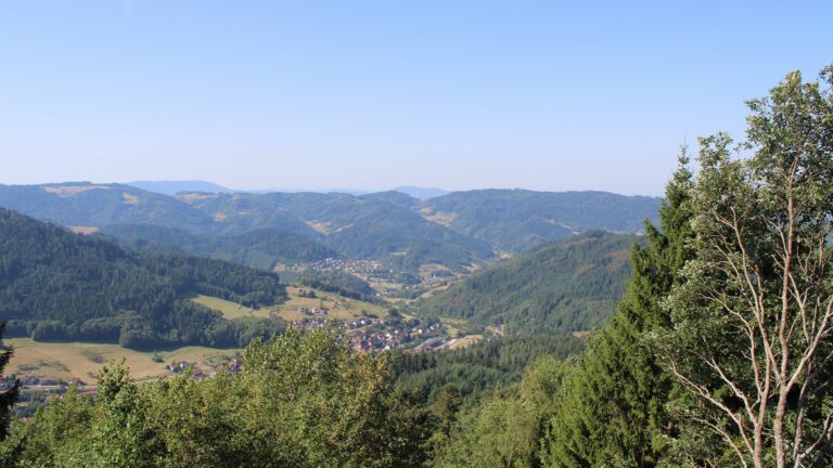 Dieses Bild zeigt eine Webcam-Aufnahme vom Achertal, aufgenommen am Dienstag, den 11.08.2026 um 10:40 Uhr. Die Temperatur betrug 26.8°C.