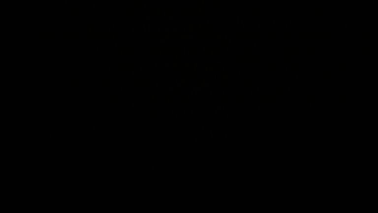 Dieses Bild zeigt eine Webcam-Aufnahme vom Achertal, aufgenommen am Sonntag, den 08.06.2025 um 02:50 Uhr. Die Temperatur betrug 9.9°C.